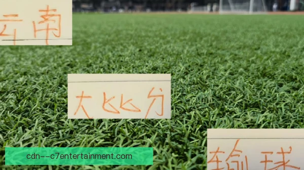 密集赛程轮换组主场草皮维护，赛前养护成关键环节